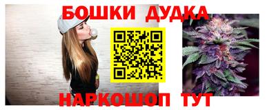 гашик Ливны