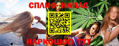 гашик Ливны