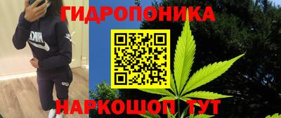 гашик Ливны