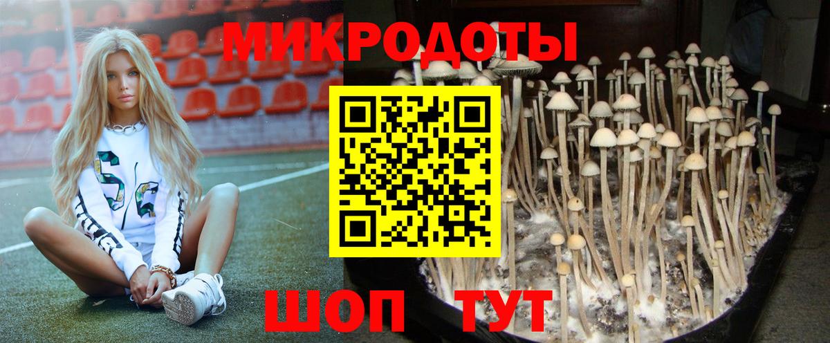 Галлюциногенные грибы ЛСД Гусиноозёрск