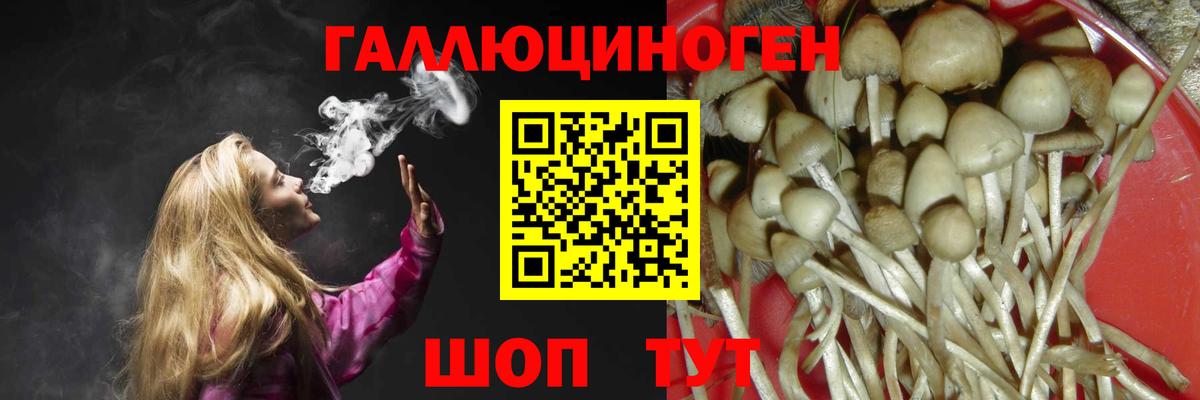 Галлюциногенные грибы мухоморы  продажа наркотиков  Гусиноозёрск  Вход с VPN 